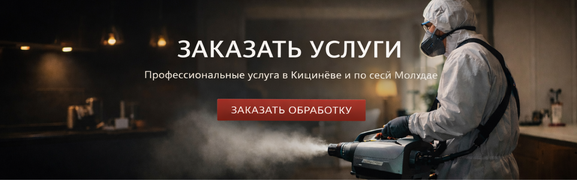 Заказать профессиональную дезинсекцию и дератизацию в Кишинёве от Stop Insect